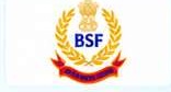 BSF logo